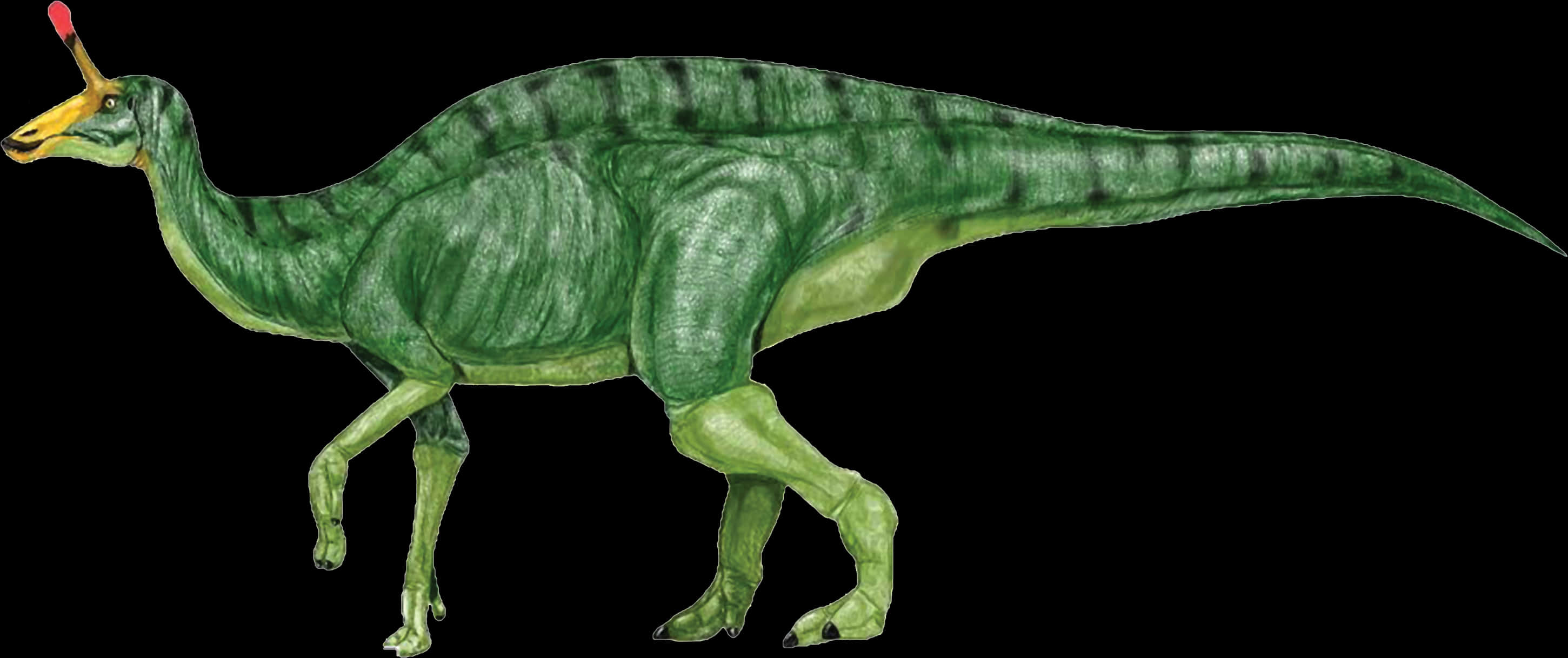 Green Hadrosaur Illustration PNG Image