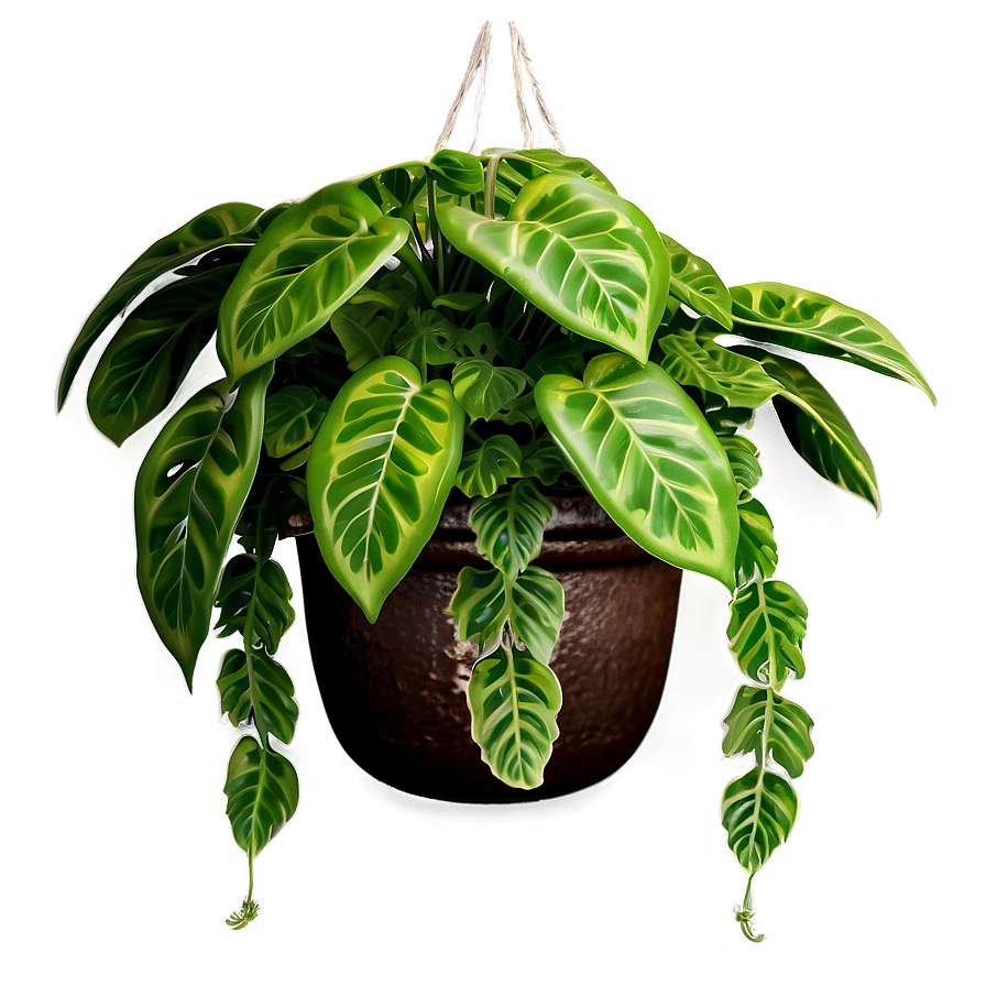 Green Hanging Plant Png 05252024 PNG Image