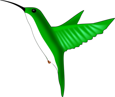 Green Hummingbird Illustration PNG Image