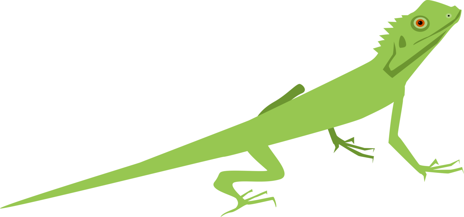 Green Iguana Illustration.png PNG Image