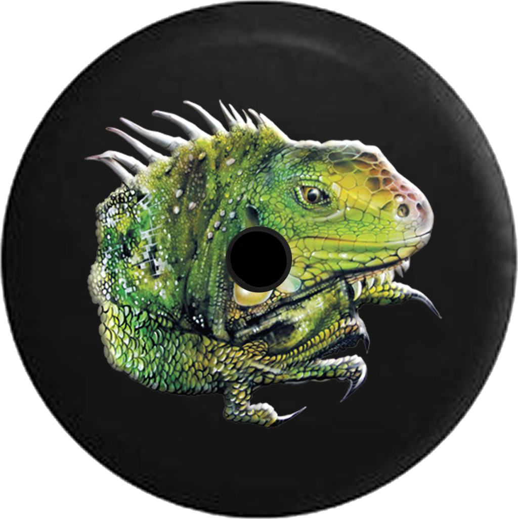 Green Iguana Vinyl Record Art PNG Image