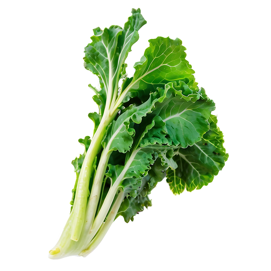 Green Kale Leaf Png Gmd98 PNG Image