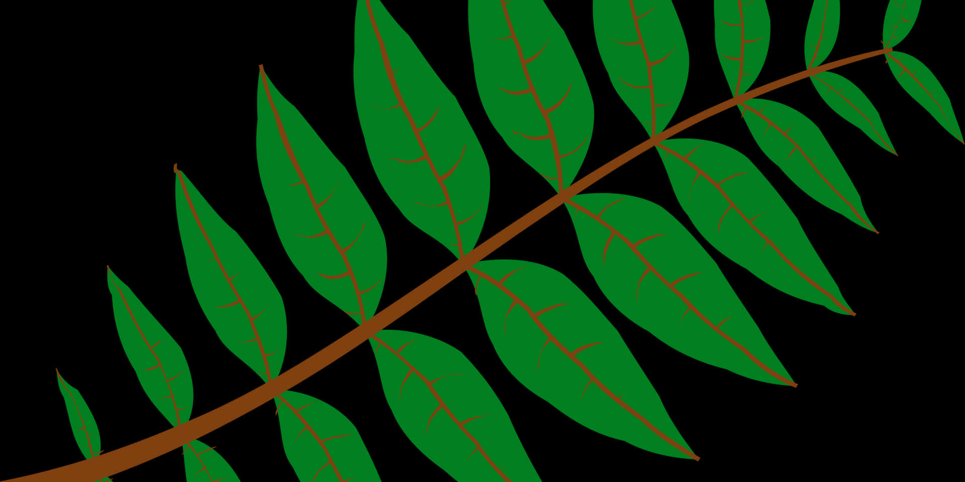 Green Leaf Branch Vector Illustration PNG Image