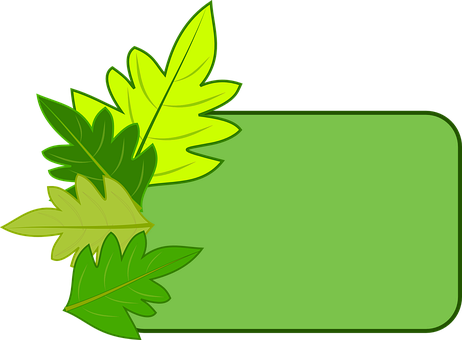 Green Leaf Frame Design PNG Image