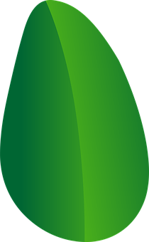 Green Leaf Graphic Design PNG Image