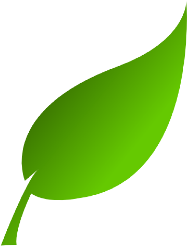 Green Leaf Graphic PNG Image