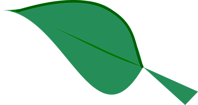 Green Leaf Graphicon Black Background PNG Image