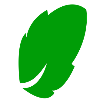 Green Leaf Icon PNG Image