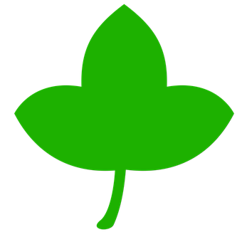 Green Leaf Icon PNG Image