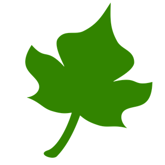 Green Leaf Icon PNG Image