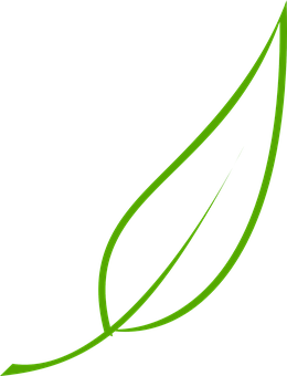 Green Leaf Outlineon Black Background PNG Image