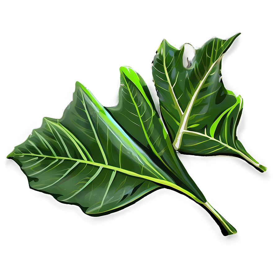 Green Leaf Png 05032024 PNG Image