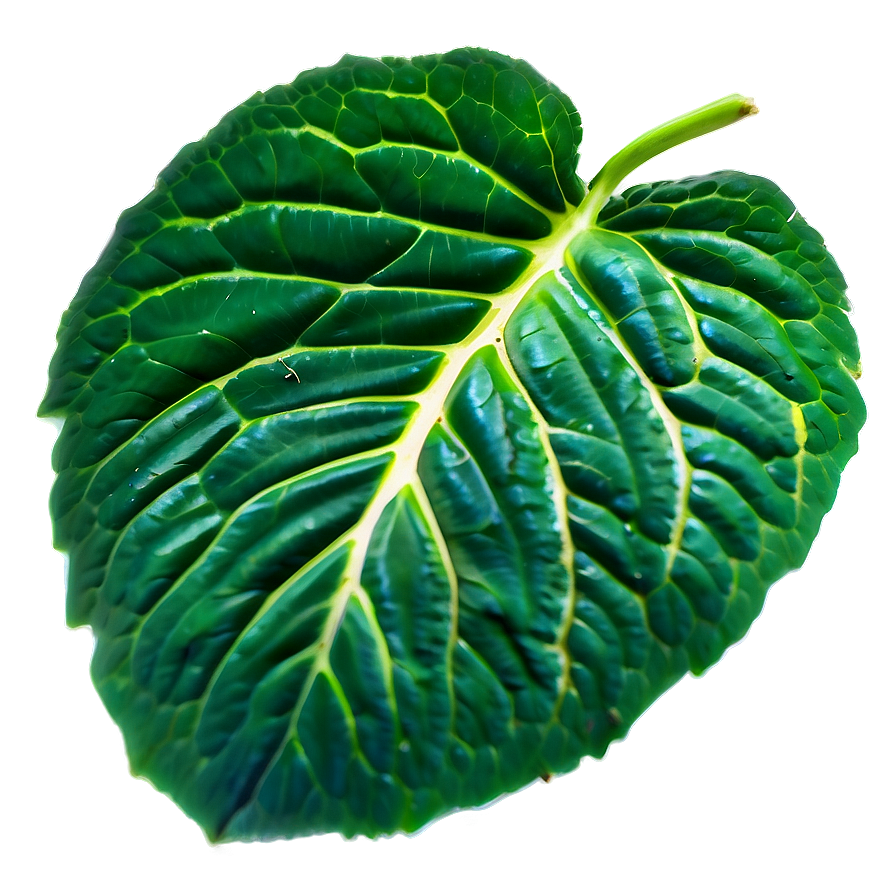 Green Leaf Texture Png Nqg PNG Image