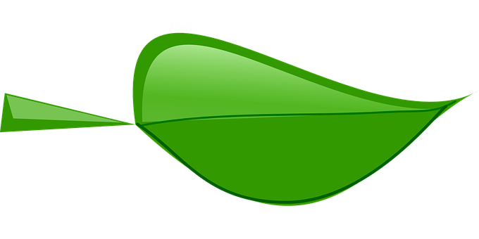 Green Leaf Vector Art PNG Image