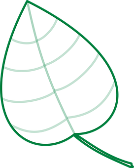 Green Leaf Vector Illustration PNG Image