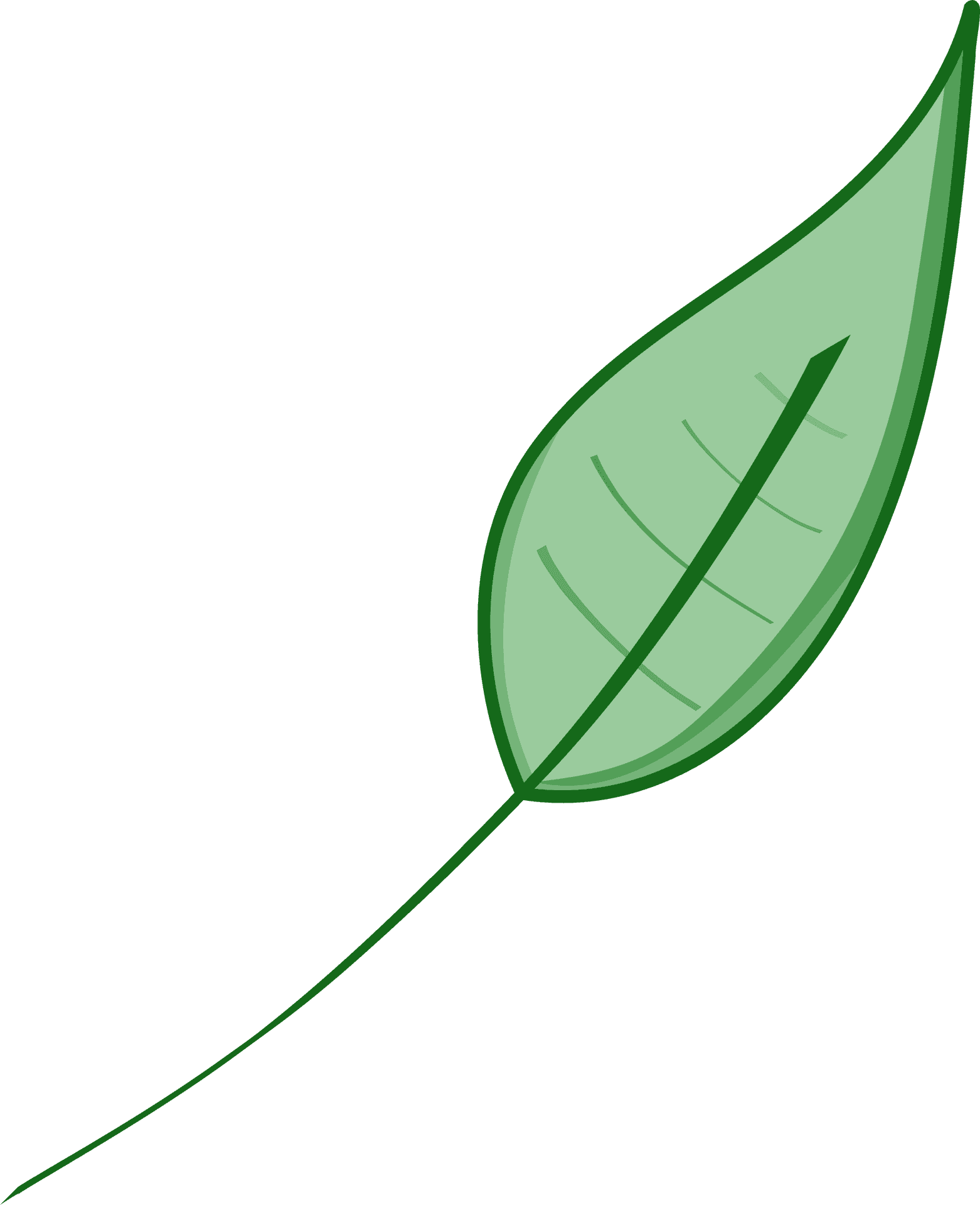 Green Leaf Vector Illustration PNG Image