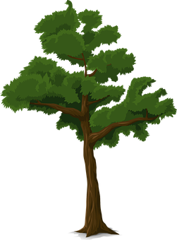 Green Leafy Tree Illustration PNG Image