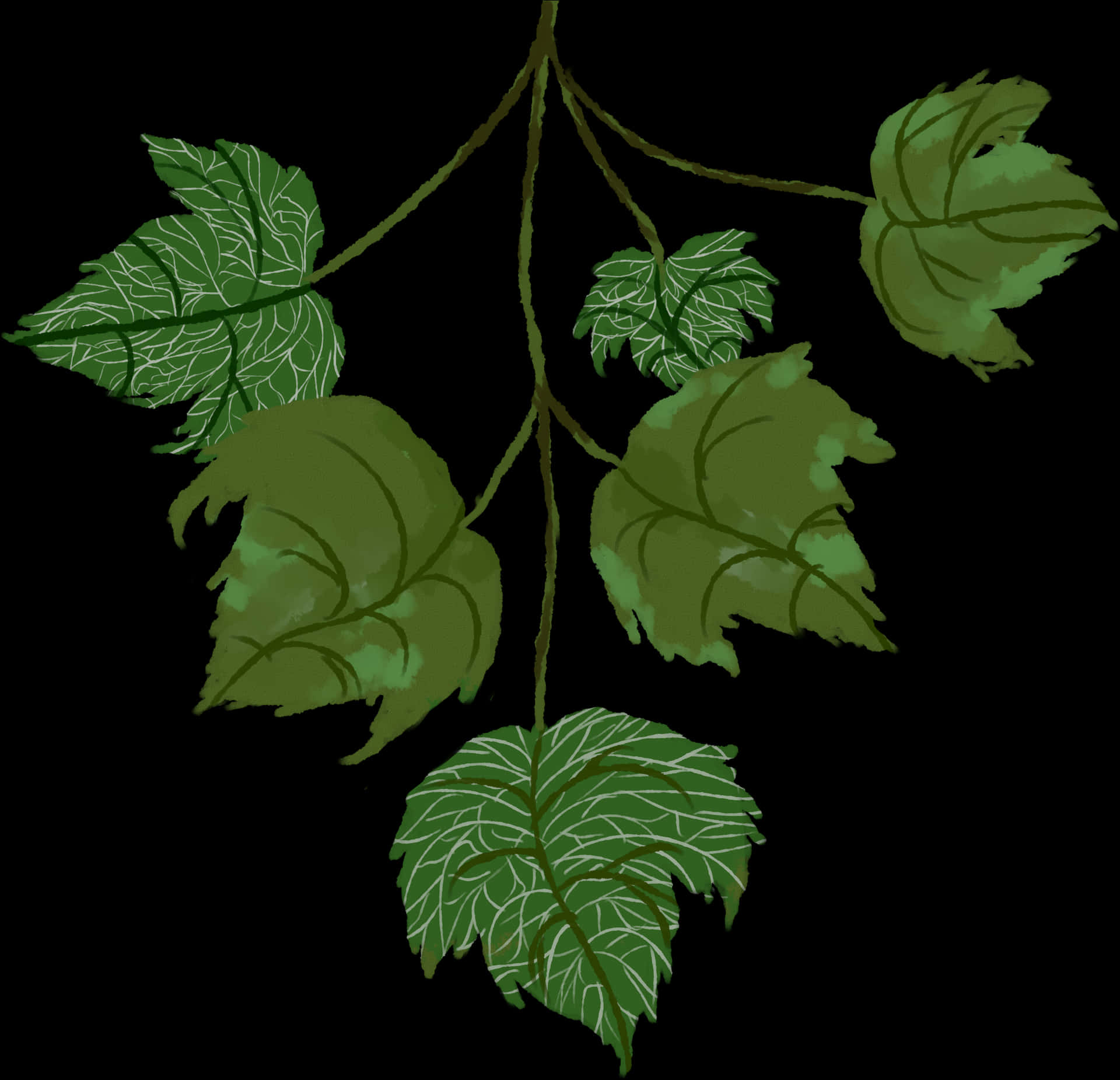 Green Leaves Dark Background PNG Image