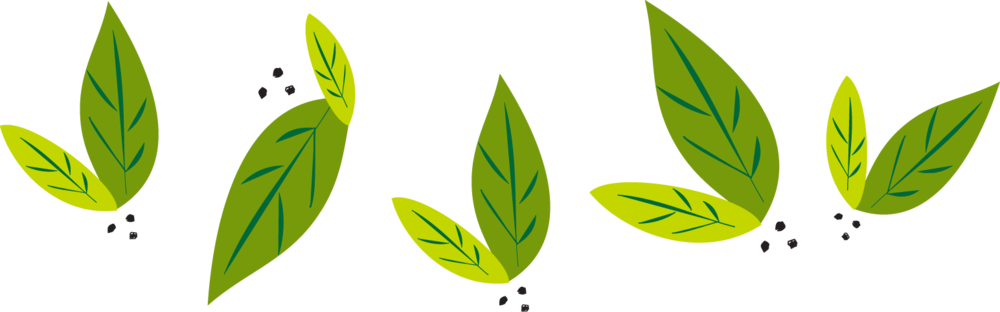 Green Leaves Vector Illustration PNG Image