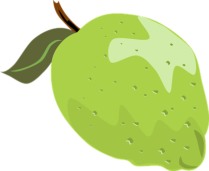 Green Lime Cartoon Illustration PNG Image