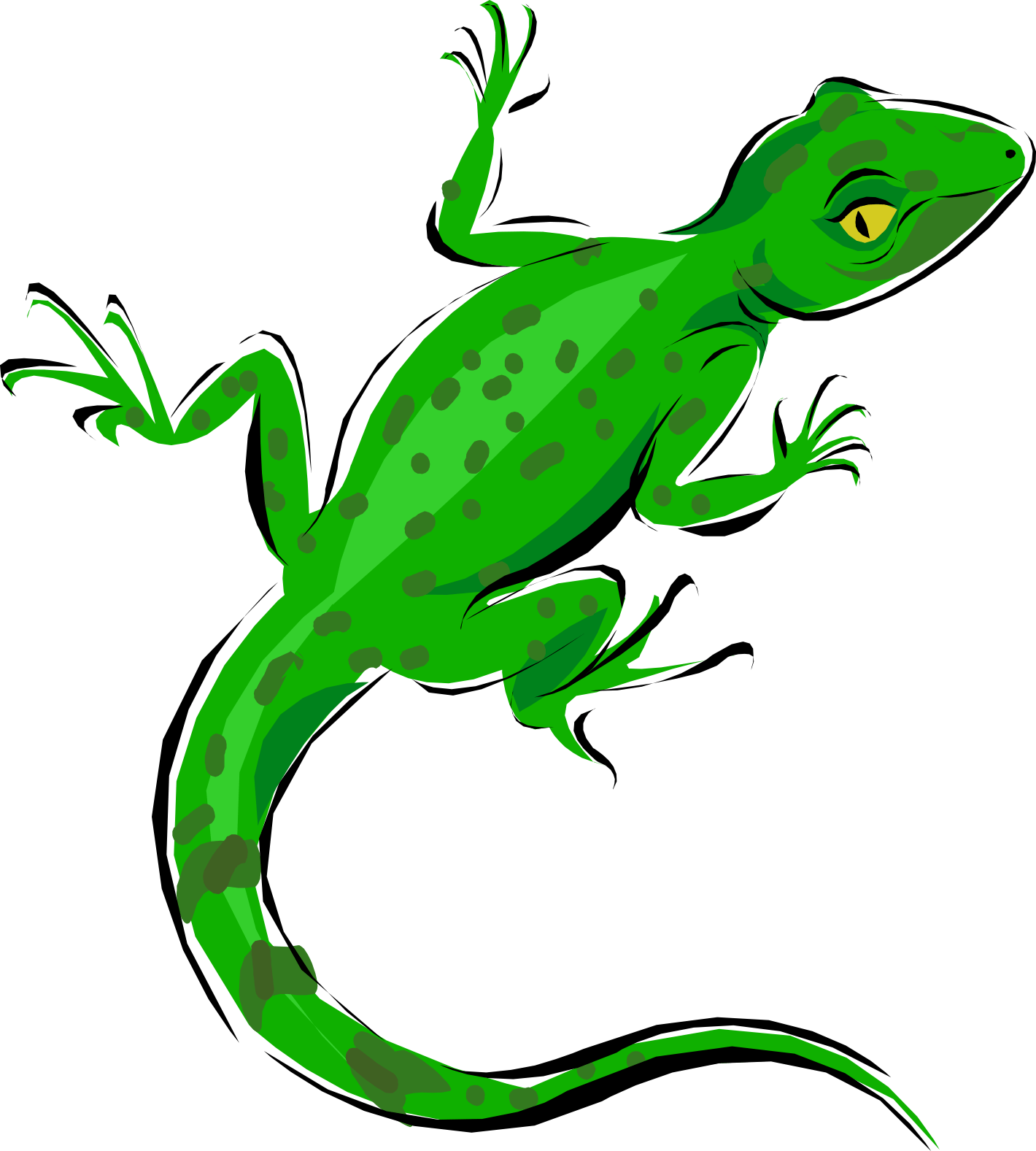 Green Lizard Illustration.png PNG Image