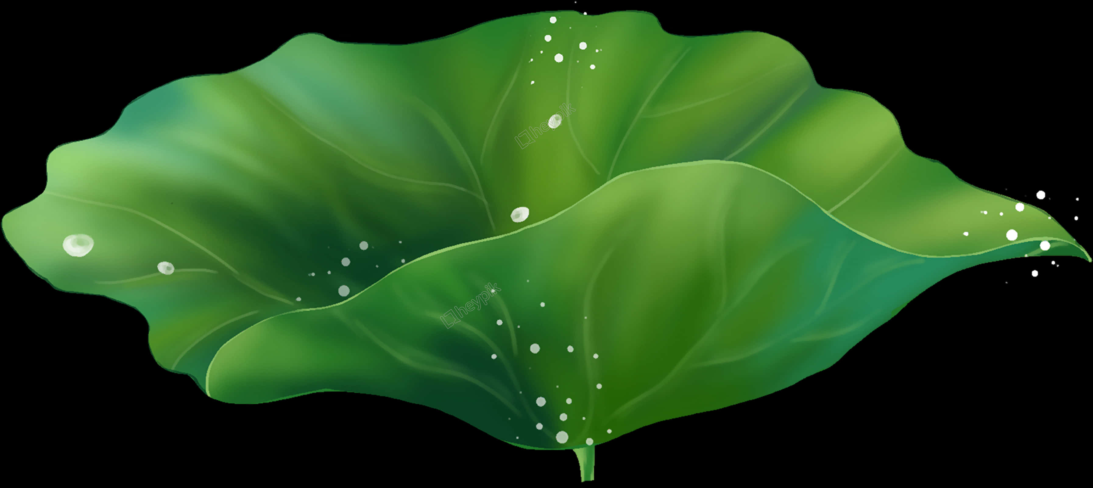 Green Lotus Leafwith Dew Drops PNG Image