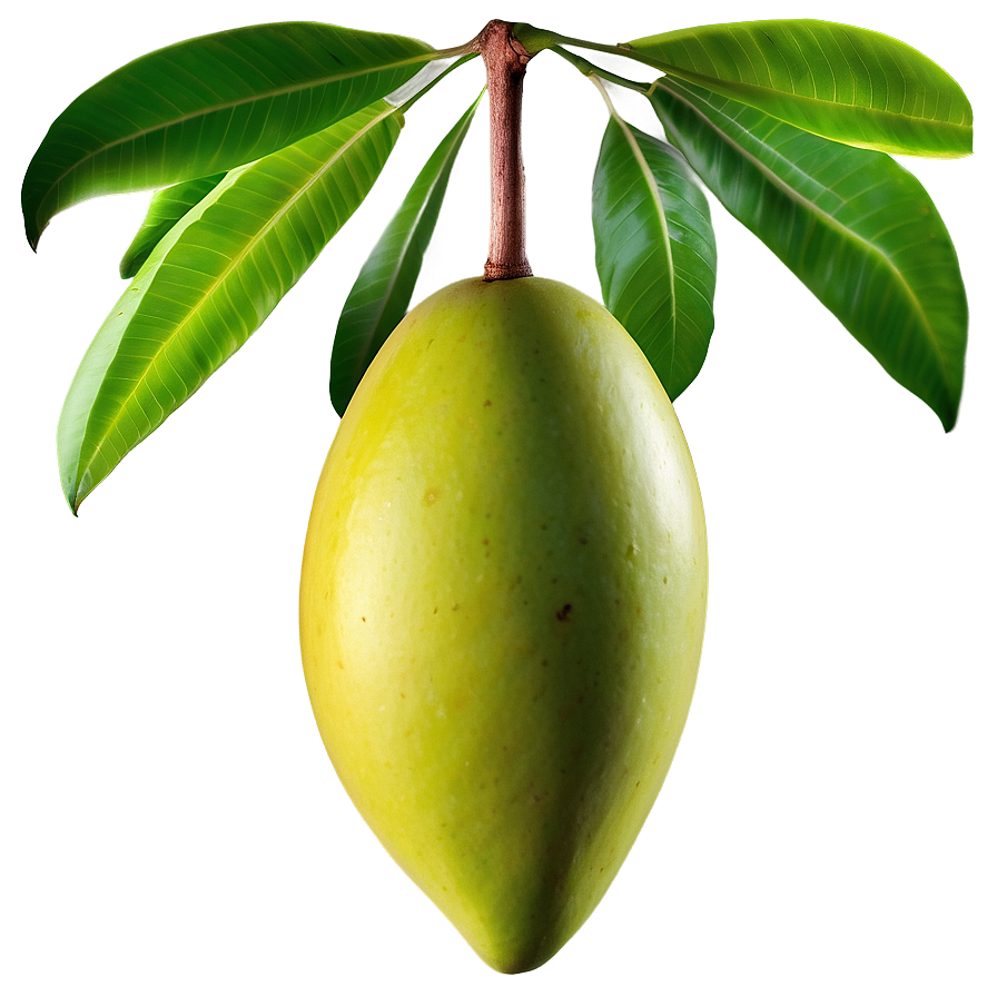 Green Mango Png 05232024 PNG Image