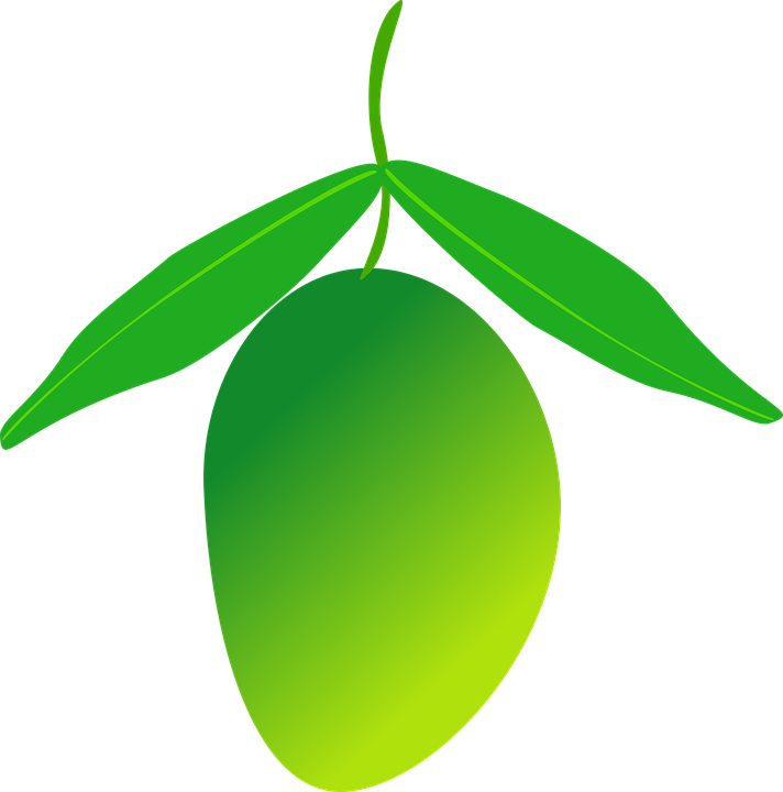 Green Mango Vector Illustration PNG Image