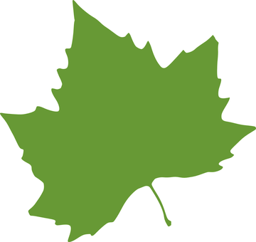 Green Maple Leaf Silhouette PNG Image