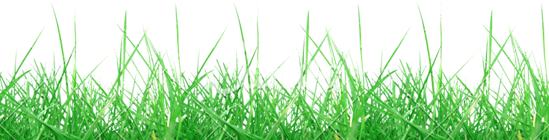 Green Meadow Grass Texture PNG Image