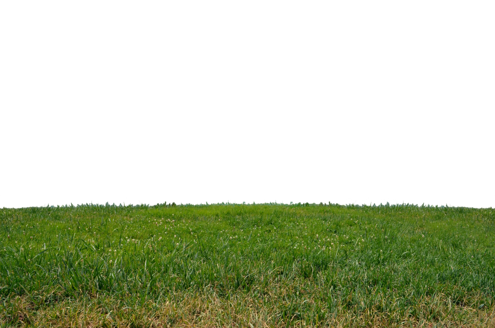 Green Meadow Horizon PNG Image