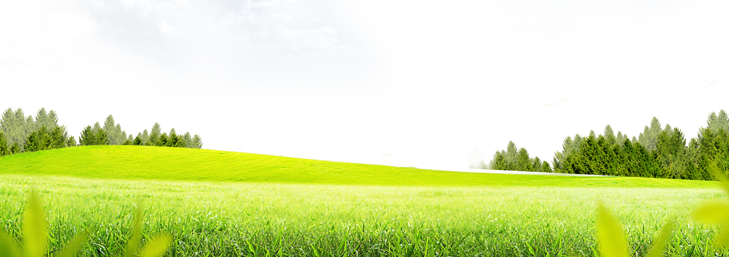 Green Meadow Skyline PNG Image