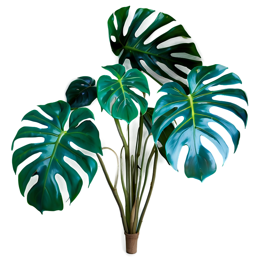 Green Monstera Plant Png Axb48 PNG Image