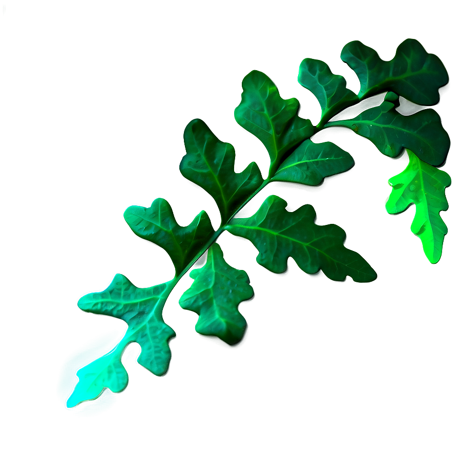 Green Oak Leaf Graphic Png 06292024 PNG Image