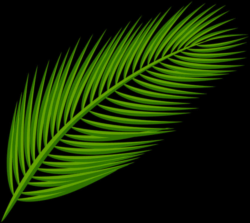 Green Palm Leaf Clipart PNG Image