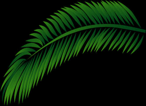 Green Palm Leaf Vector PNG Image