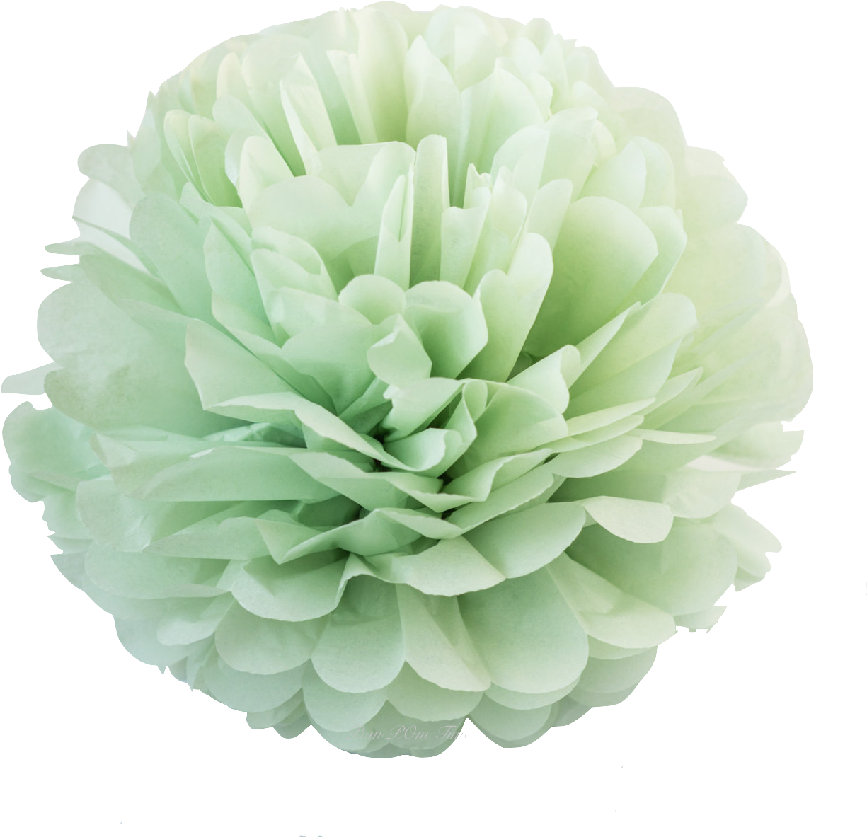 Green Peonies Floral Background PNG Image