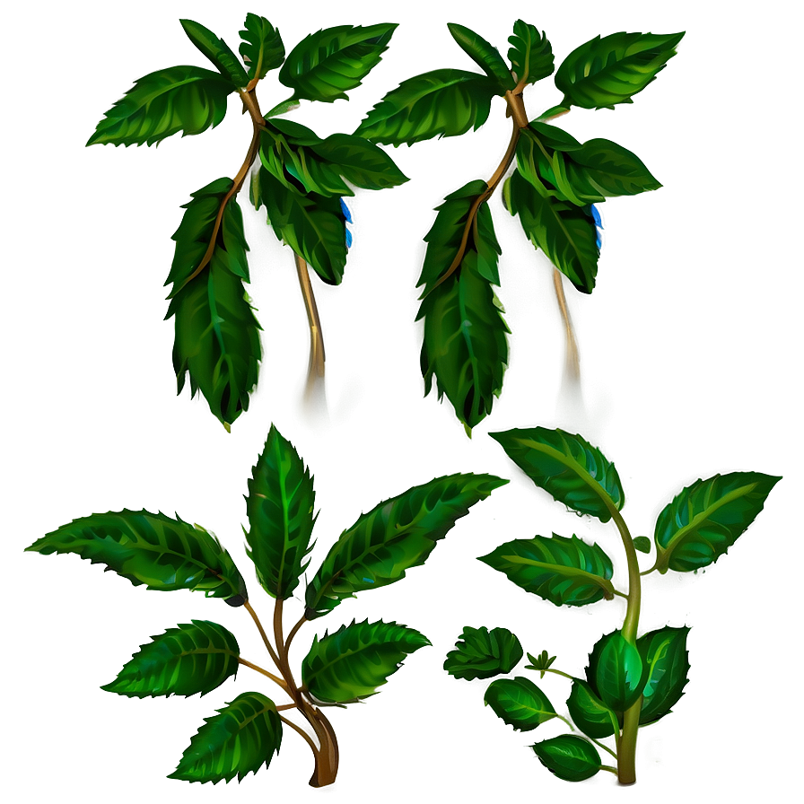 Green Plant Clipart Png 06272024 PNG Image