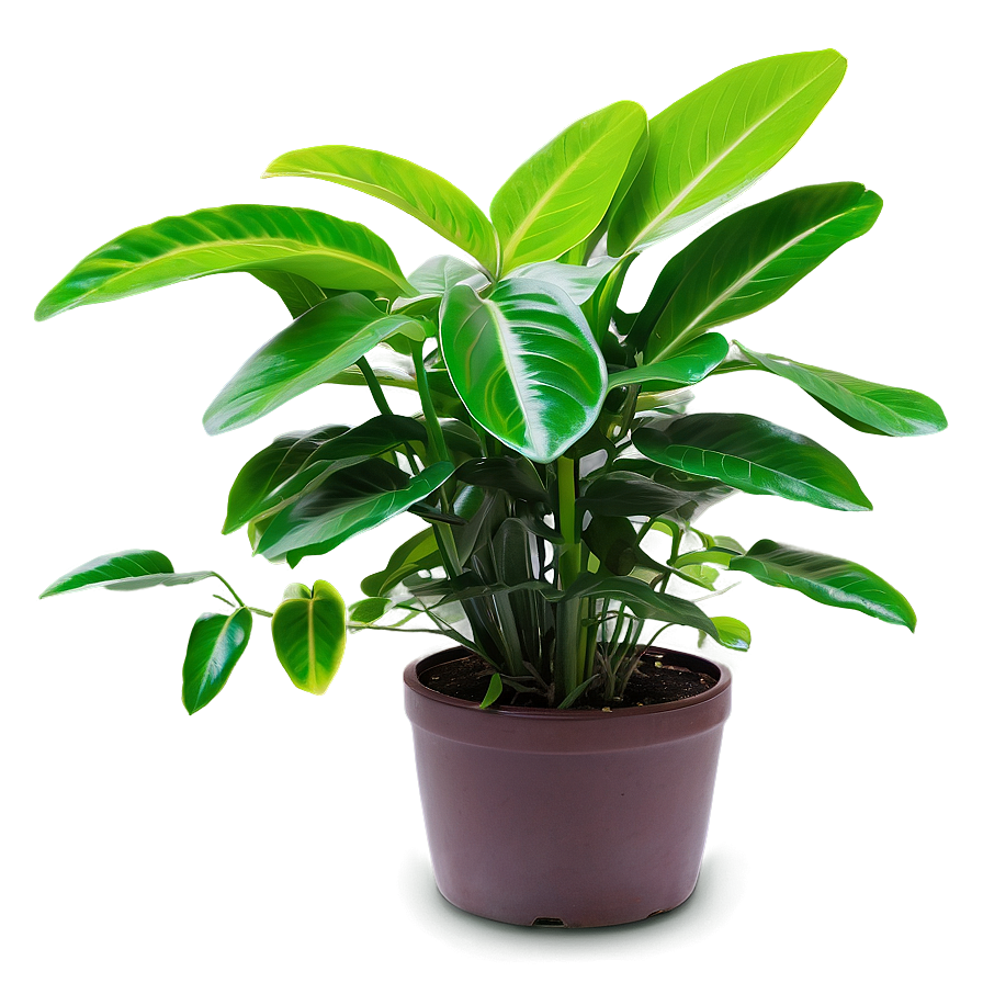 Green Plant Png 05032024 PNG Image