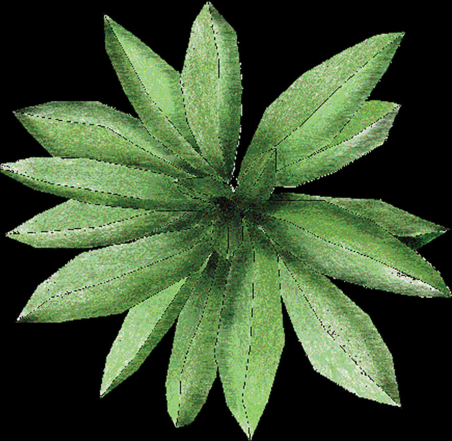 Green Plant Top View PNG Image