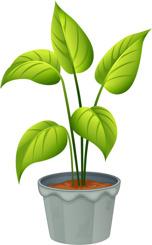 Green Plantin Decorative Pot PNG Image