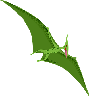 Green Pterosaur Illustration PNG Image