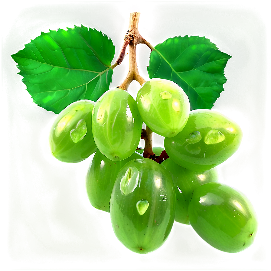 Green Raisins Realistic Png Qpq PNG Image