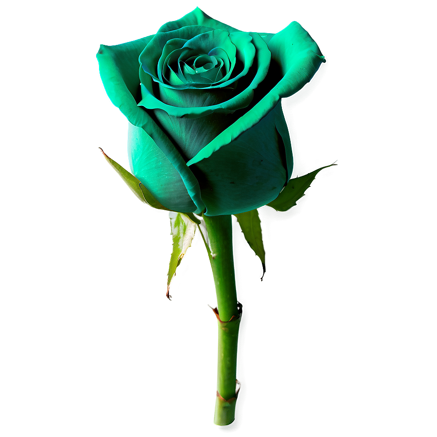 Green Roses Nature Png 05042024 PNG Image