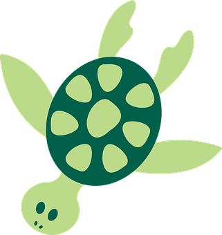 Green Sea Turtle Illustration PNG Image