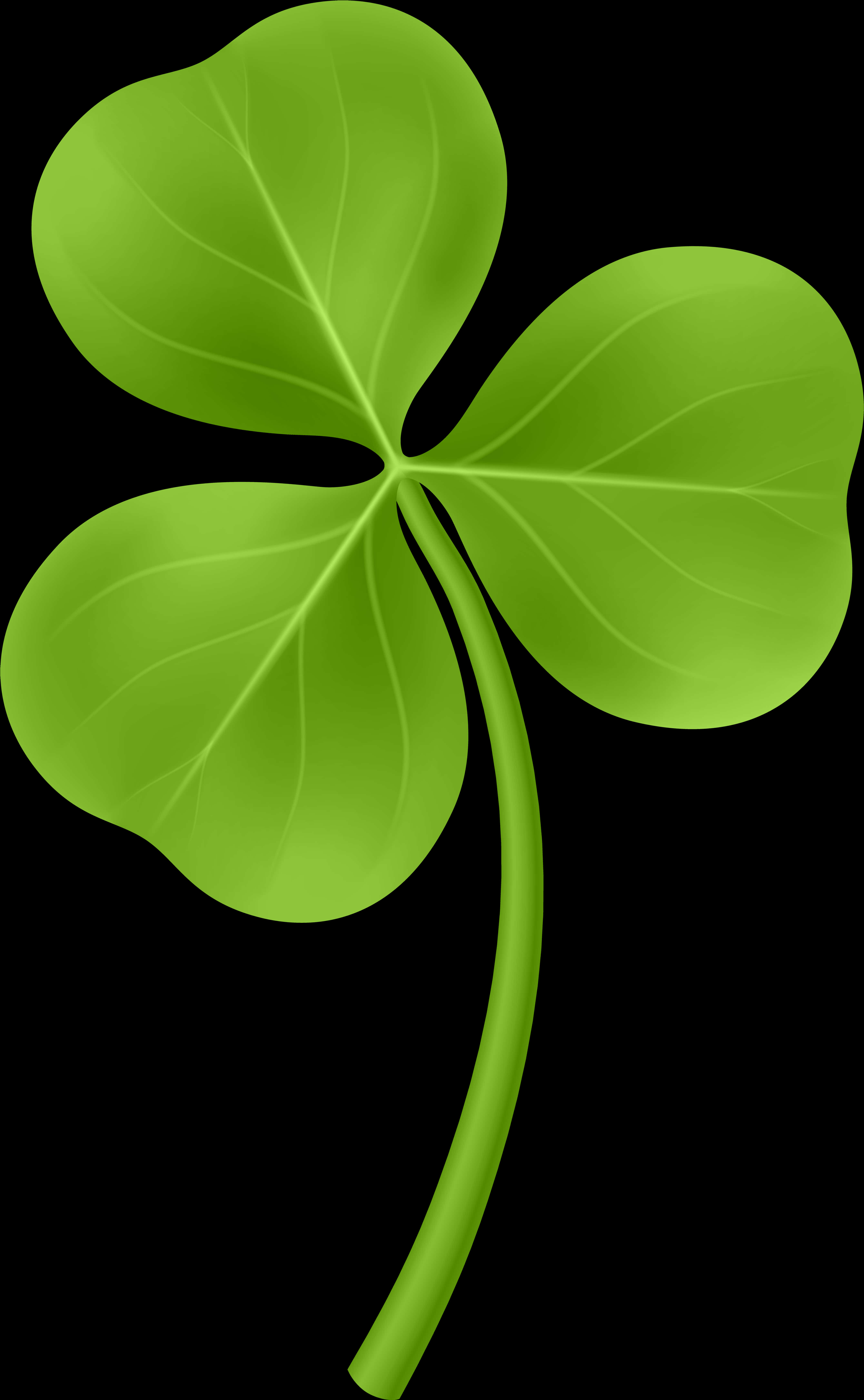 Green Shamrock Black Background PNG Image