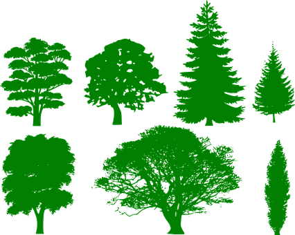 Green Silhouette Trees Collection PNG Image