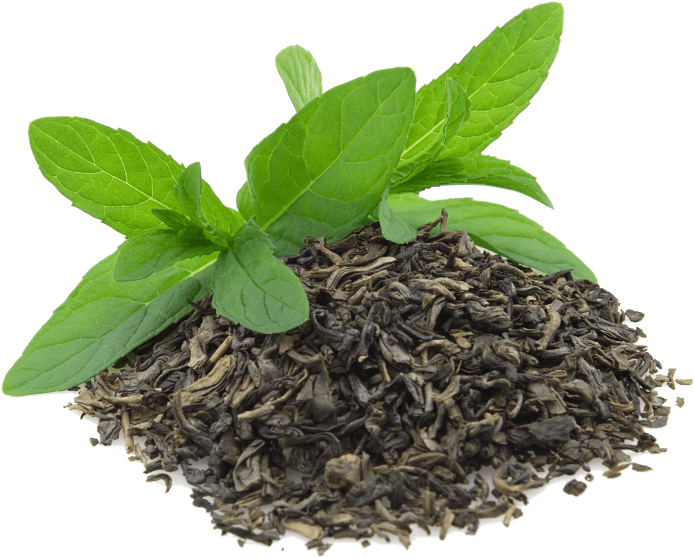 Green Tea Leavesand Mint.png PNG Image