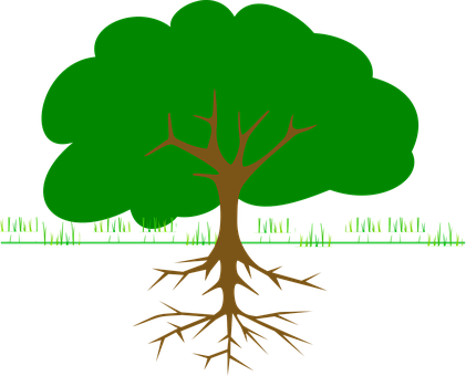 Green Tree Black Background PNG Image