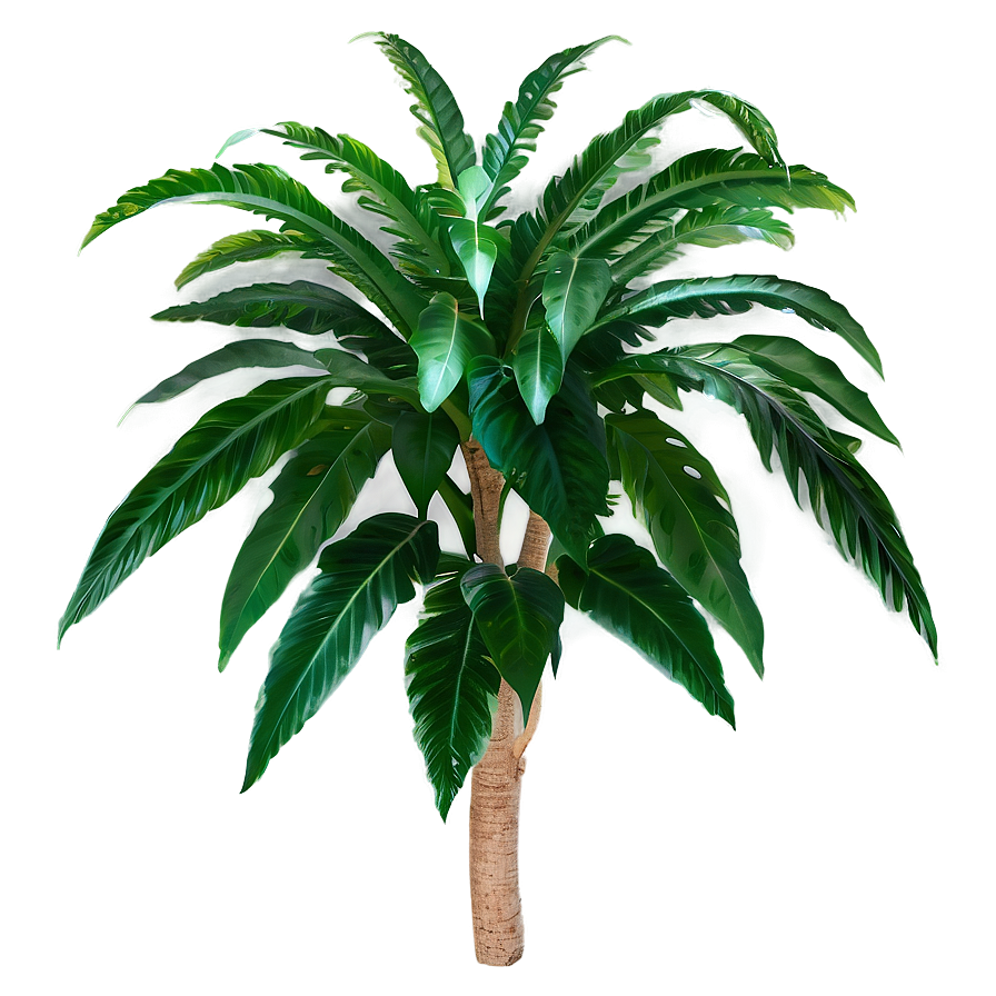 Green Tropical Plant Png 06272024 PNG Image